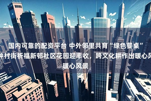 国内可靠的配资平台 中外邻里共育“绿色餐桌”！钟村街祈福新邨社区花园迎丰收，跨文化耕作出暖心风景